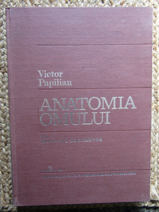 Anatomia omului vol. I &ndash; Aparatul locomotor (Victor Papilian) &ndash; Atlas