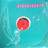 Disc vinil, LP. RAMONA. J&#039;ATTENDRAI (DISC EBONITA)-ORCHESTRA ELECTRECORD, Rock and Roll