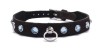 Zgarda Piele Cristale Albastre Devil Sticks Accesorii Animale Companie Petshop Zgarda Decorata Neagra Albastra C33054