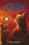 Cumpara ieftin Raul de Foc. Seria Viziunea din umbre. Volumul 35/Erin Hunter