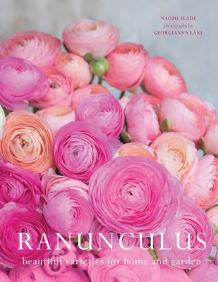 Ranunculus: Beautiful Varieties for Home and Garden foto