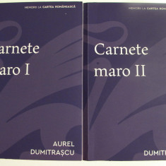 Aurel Dumitrascu - Carnete maro 2 volume jurnal poet optzecist, memorii literare