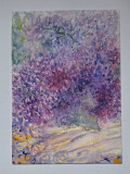 Pictura in acuarela neinramata - flori de liliac mov , nesemnata, 17x24 cm, Natura statica, Realism