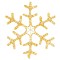 icon 2