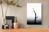 Tablou Canvas Zborul tăcut al libelulei singuratice, 26 x 39 cm, CMCLASS