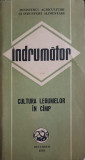 INDRUMATOR. CULTURA LEGUMELOR IN CAMP-COLECTIV