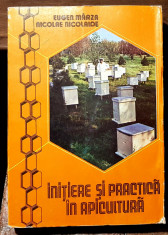 Initiere si practica in apicultura foto