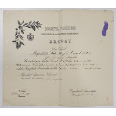 BREVET PENTRU ACORDAREA MEDALIEI &#039;&#039; RASPLATA SERVICIULUI MILITAR &#039;&#039; LA 20 ANI DE SERVICIU , 20 DEC. , 1938