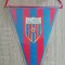 D9 12 - fanion - sport - cluburi sportive - AS Armata - Targu Mures
