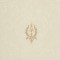 Tapet clasic, baroc, unt, auriu, dormitor,47622