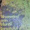 DRUMETIND PRIN MUNTII BANATULUI L. Botosaneanu, Stefan Negrea