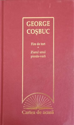 FIRE DE TORT. ZIARUL UNUI PIERDE-VARA-GEORGE COSBUC-227306 foto