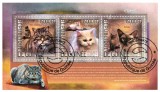 Timbre GUINEEA 2014, Fauna, Pisici, Colita CTO, Straine dupa 1950