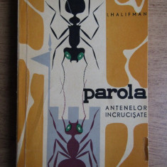 I. Halifman - Parola antenelor incrucisate