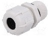 Presetupa poliamida, PG13,5, IP68, BM GROUP - BM4013L foto