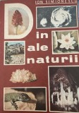 Din ale naturii Ion Simionescu, 1982, Ion Creanga