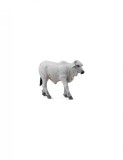Figurina Vitel Brahman S Collecta