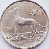 607 Malta 1 Lira 1977 Maltese Hunting Dog km 45 argint, Europa