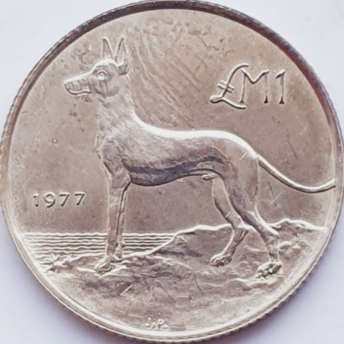 607 Malta 1 Lira 1977 Maltese Hunting Dog km 45 argint