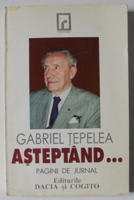 ASTEPTAND ...PAGINI DE JURNAL de GABRIEL TEPELEA , 1997 foto