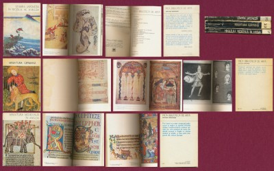 22 volume pictori rom&amp;acirc;ni şi străini, Ed. Meridiane, colecţia Bibliotecă de Artă foto