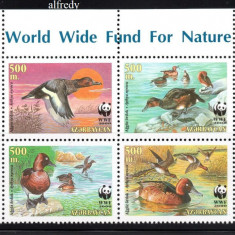 AZERBAIJAN 2000, Fauna, Pasari, WWF, serie neuzata, MNH