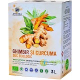 Suc de Ghimbir si Curcuma Ecologic/Bio 3L