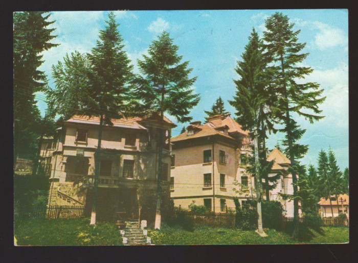 CPIB 21838 - CARTE POSTALA - SINAIA. VILE
