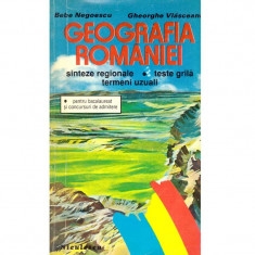 Bebe Negoescu, Gheorghe Vlasceanu - Geografie - Ghid de pregatire pentru bacalaureat. Europa-Romania-Uniunea europeana - 135723