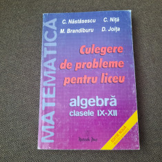 CULEGERE DE PROBLEME PENTRU LICEU CLASELE IX-XII C NASTASESCU 2004