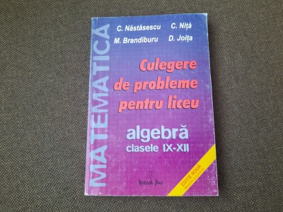 CULEGERE DE PROBLEME PENTRU LICEU CLASELE IX-XII C NASTASESCU 2004 foto