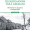 Filogermanism fara germani