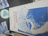 Din umbra satelor vintage