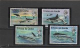 Fauna ,cetacee,Tristan.