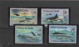 Fauna ,cetacee,Tristan., Nestampilat