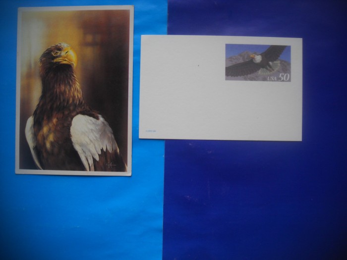 HOPCT LOT NR 391 PASARI PRADATOARE -FAUNA-2 CARTI POSTALE-NECIRCULATE