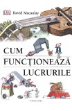 Cum functioneaza lucrurile - Nuria Cicerco - Litera