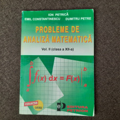Probleme de analiza matematica - Ion Petrica Vol.II clasa a XII-a