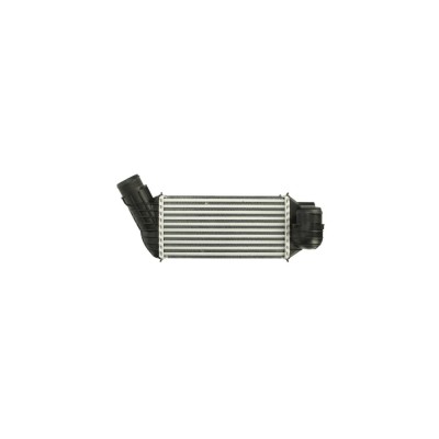 Intercooler PEUGEOT 5008 AVA Quality Cooling PE4341 foto