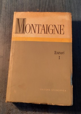 Eseuri 1 Montaigne foto