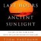 The Last Hours of Ancient Sunlight: Revised and Updated: The Fate of the World and What We Can Do Before It&#039;s Too Late