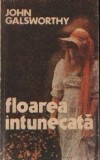 John Galsworthy - Floarea &icirc;ntunecată