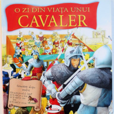 O ZI DIN VIATA UNUI CAVALER de ANDREA HOPKINS , ilustratii de INLINK , FIRENZE , 2007