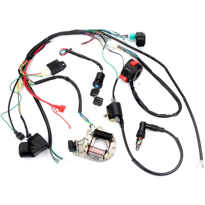 Instalatie electrica completa ATV 50cc 70cc 90cc 107cc 110cc 125cc schema