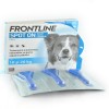 PIPETE ANTIPARAZITARE PURICI, CAPUSE, FRONTLINE SPOTON M CUTIE 3PIP