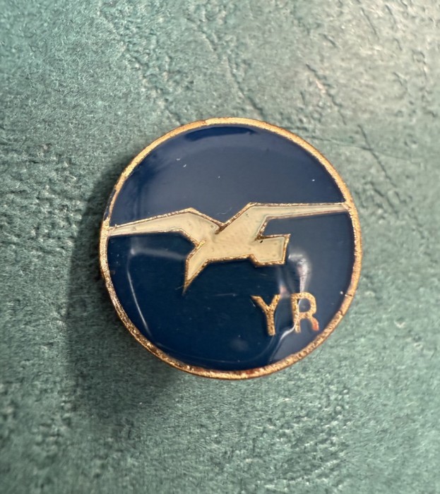 Insigna Aviatie Romania YR monetaria statului varianta
