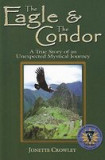 The Eagle &amp; the Condor: A True Story of an Unexpected Mystical Journey