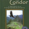 The Eagle &amp; the Condor: A True Story of an Unexpected Mystical Journey