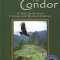 The Eagle &amp; the Condor: A True Story of an Unexpected Mystical Journey