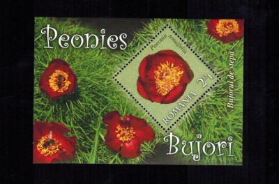 Romania 2011 Flora Flori Bujorul de stepa Colita MNH LP 1895 foto